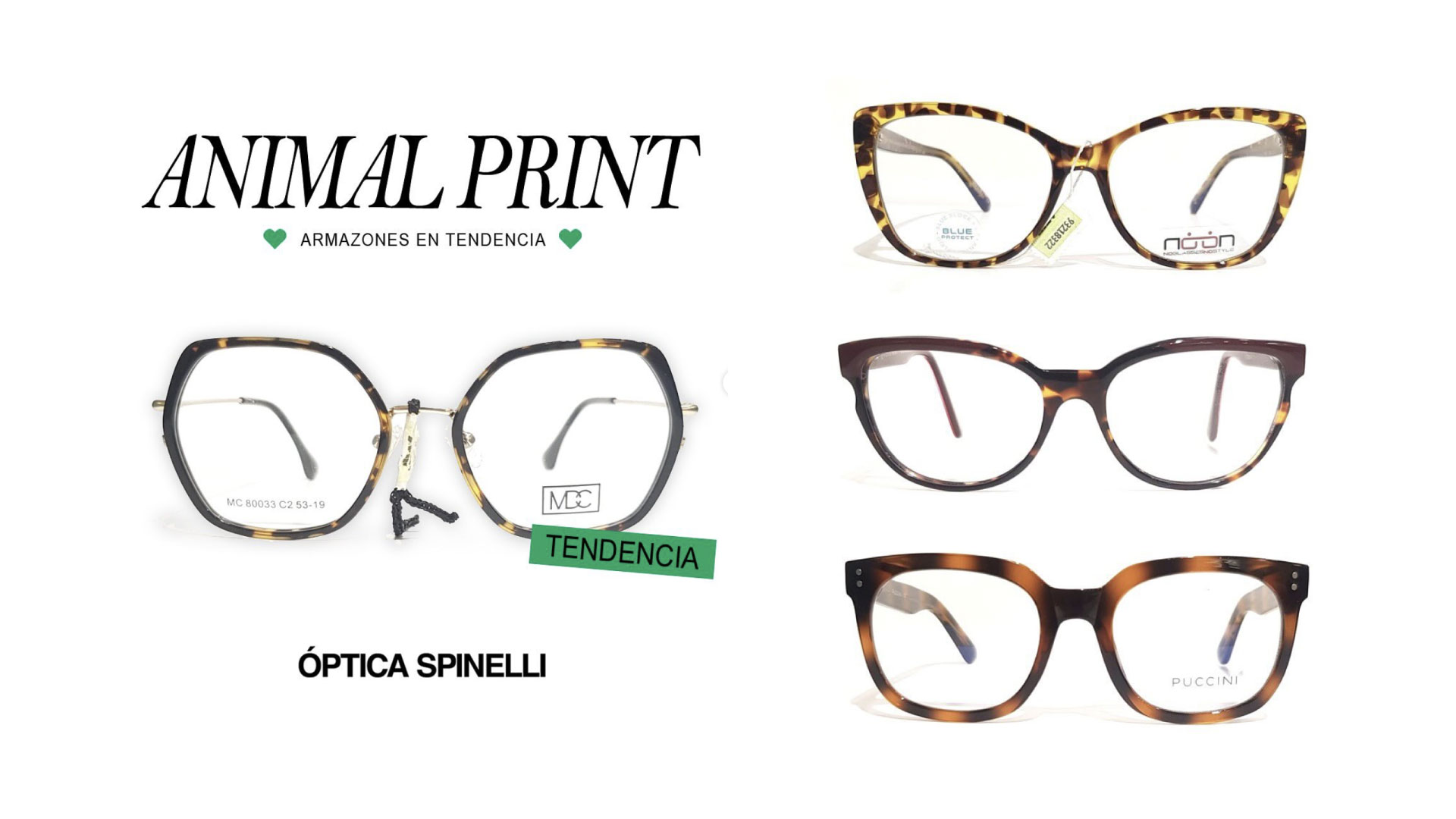 Anteojos animal print en Óptica Spinelli de Posadas Misiones