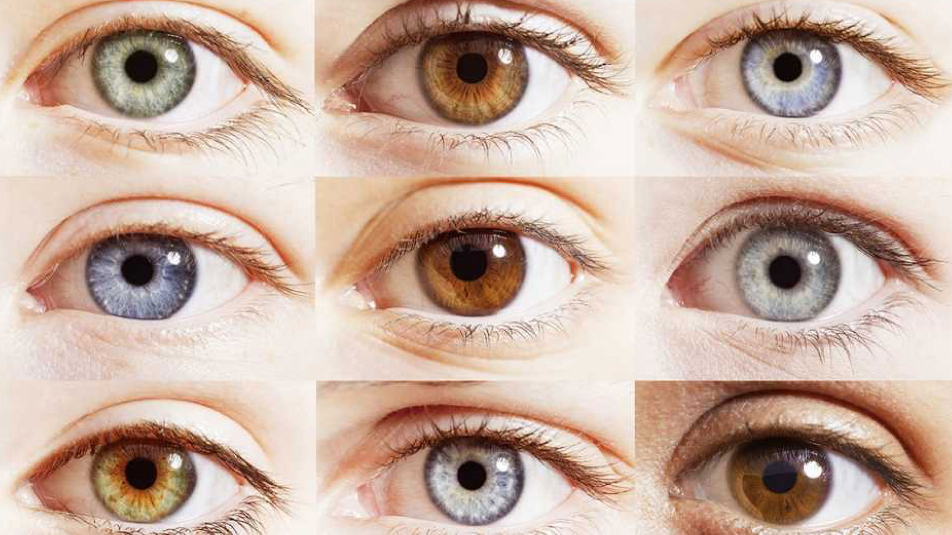 Anteojos en Óptica Spinelli de Posadas Misiones